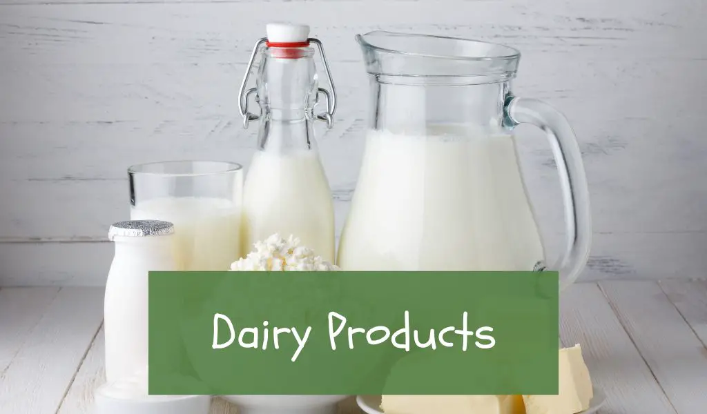 dairy products