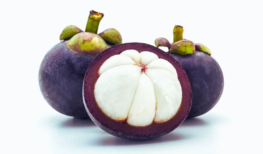 Can Dogs Eat Mangosteen?