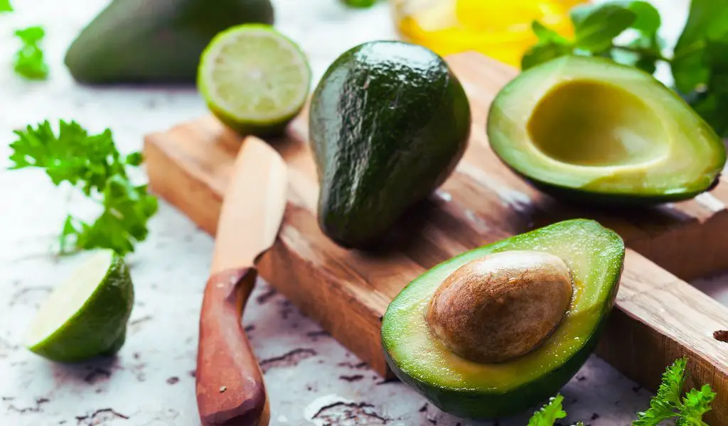 Can Dogs Eat Avocado?