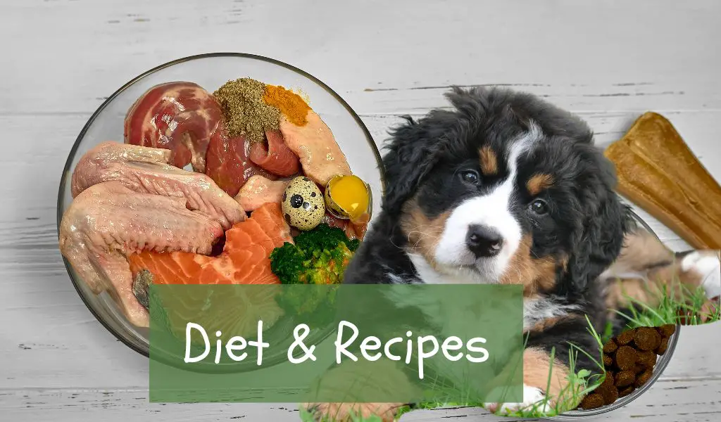 Diet & Recipes (3)