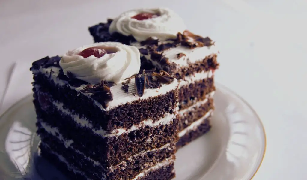 Can Dogs Eat Black Forest Cake?