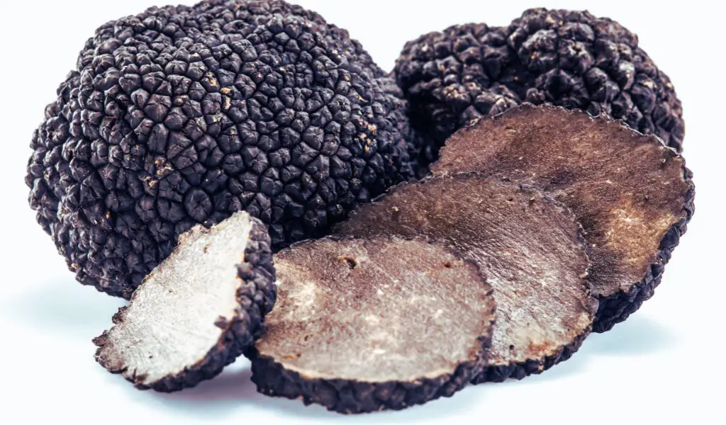 Can Dogs Eat Truffles?