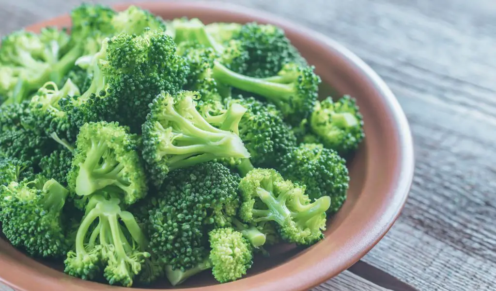 Can Dogs Eat Broccoli?