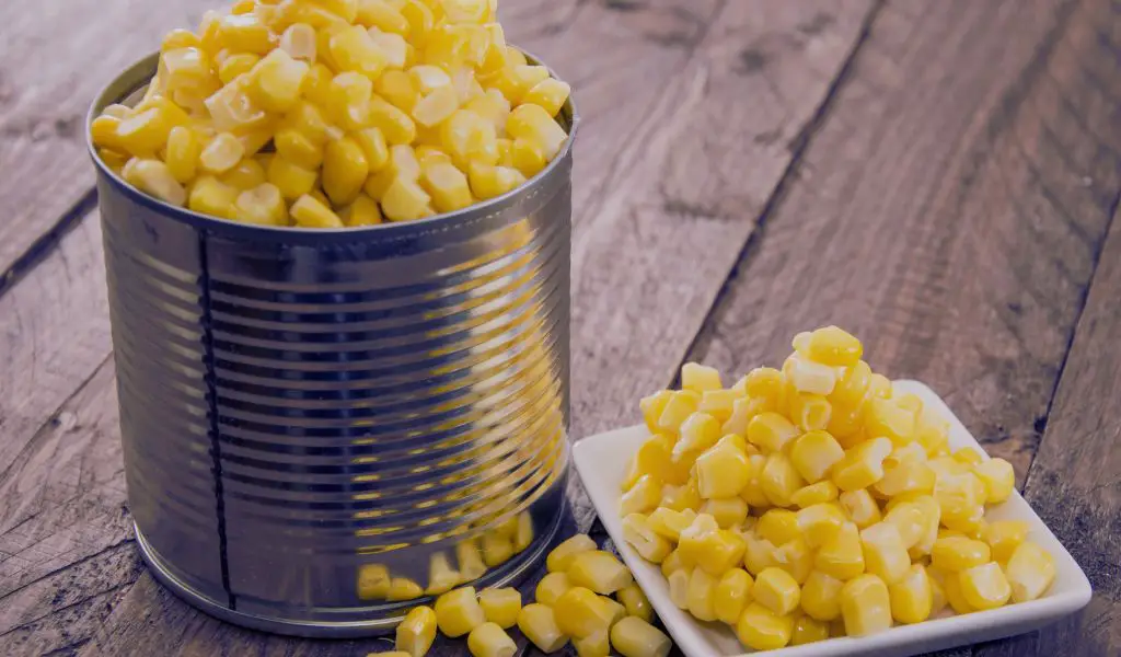 Can Dogs Eat Canned Corn?