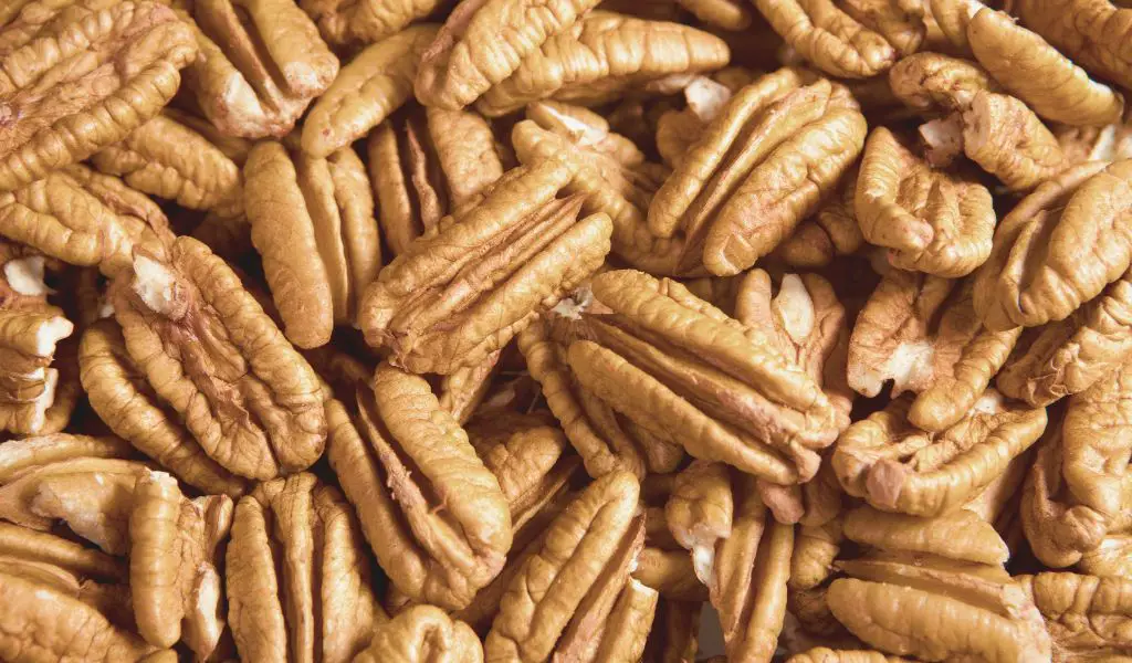 Can Dogs Eat Pecans?